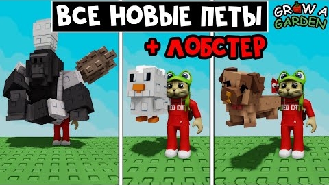 ЛОБСТЕР и НОВЫЕ ПЕТЫ в Вырасти сад роблокс | Grow a Garden roblox | Обзор НОВЫХ петов