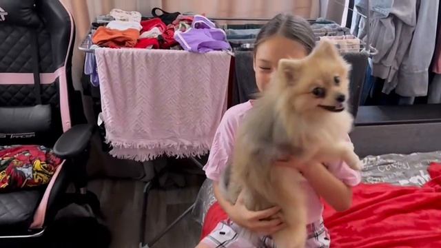 Будни щенков. Готовим пиццу. Развозим щенков. Катамараны. Играем в прятки