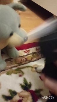 PVP кошка котунья vs Софа кассирша