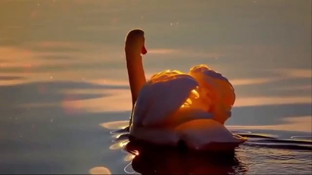 Электронная модельная библиотека. Тропа здоровья