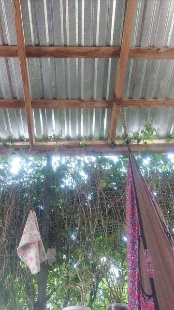 Тра-ля-ля, тра-ля-ля, снова котик, ты и я)