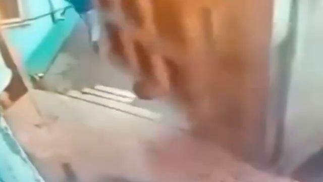 В Новосибирске около кафе-бара «У дороги» водитель грузовика дважды сдал назад на людей. ДТП