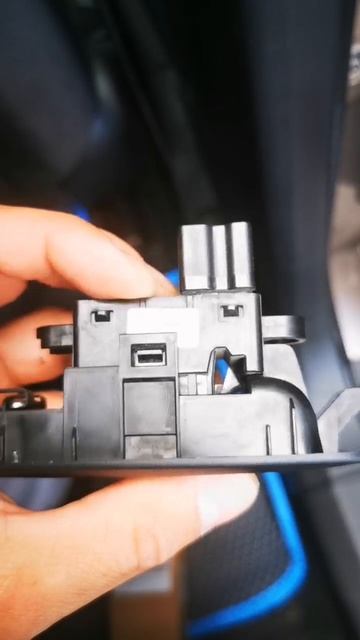 video5246854201958499346