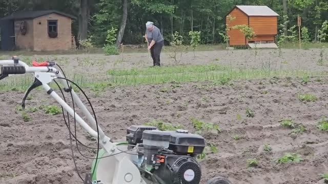 И3 PAHHEГО. XУTOP 3AMOШЬE! ДОЖДЬ ЗАГНАЛ НАС В ДОМ, А СОЛНЦЕ – НА ГРЯДКИ!