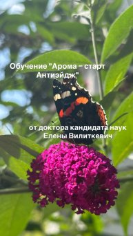 Обучение "Арома – старт Антиэйдж" от доктора кандидата наук Елены Вилиткевич