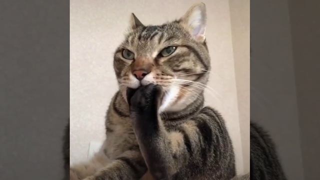 В ожидании зарплаты