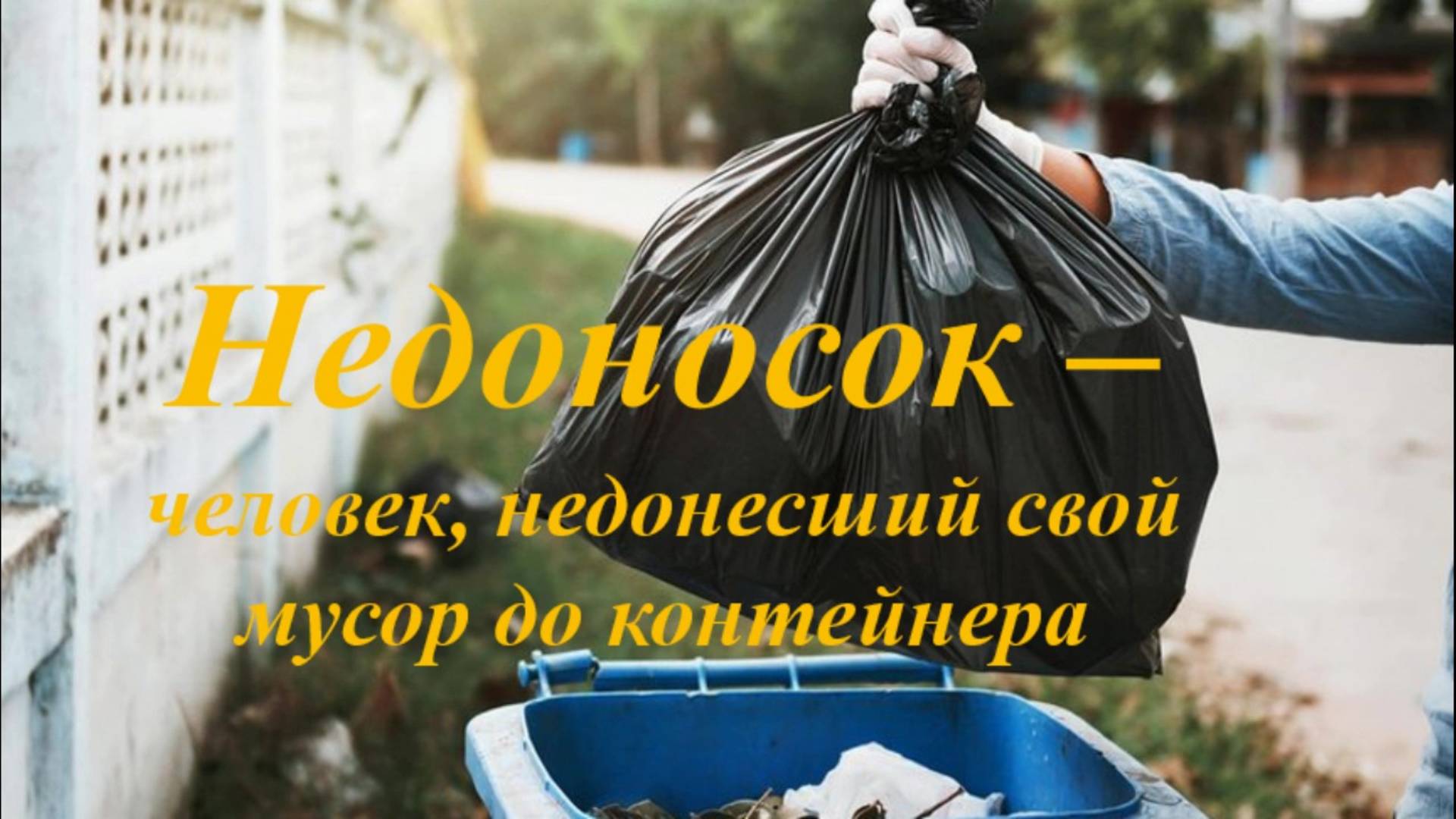 Прибрежный вайб - "Недоносок"