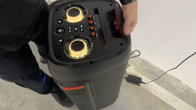 Портативная блютуз караоке колонка Binko 10000