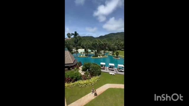 вид из окна 11