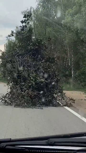 кто же, ктоже едет