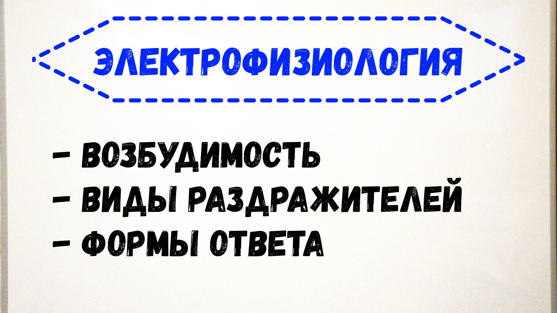 Электрофизиология. Возбудимость. Виды раздражителей и формы ответа на их воздействие