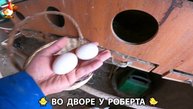 Содержание кур в домашних условиях и других птиц во дворе у Роберта 🐣🐤🦆🐔🪿🦃 (136)