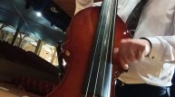 Eminence upright electric bass