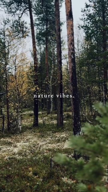 Отдых не награда-он топливо!