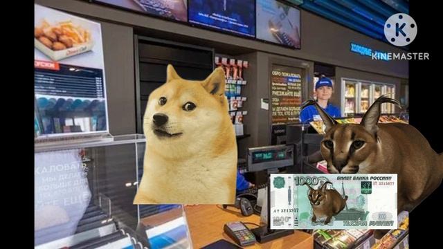 шлёпа ряльная жизнь продолжение