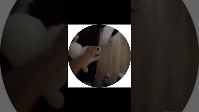 Никитка тоже не скучает 🔥