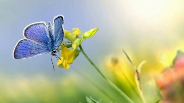 Новое утро начало всех начал