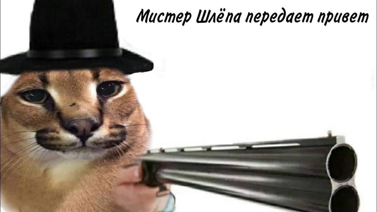 будем смотреть кринж каналы на рутубе