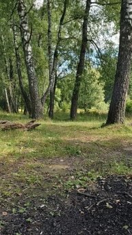 Ни фига себе ...