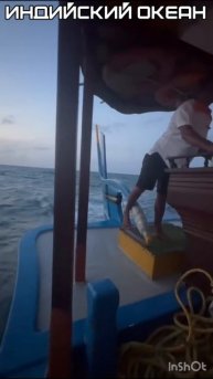 Ловко рулит ногой