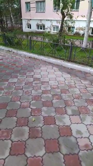 Вандалы нарушили городское благоустройство Охи