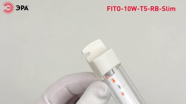 Фитолампа светодиодная линейная ЭРА FITO-10W-Т5-RB-Slim красно-синего спектра 10 Вт Т5