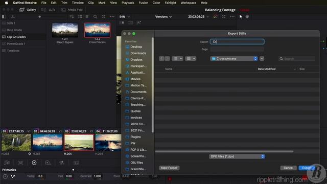 L26_Saving_Grades_for_Other_Projects