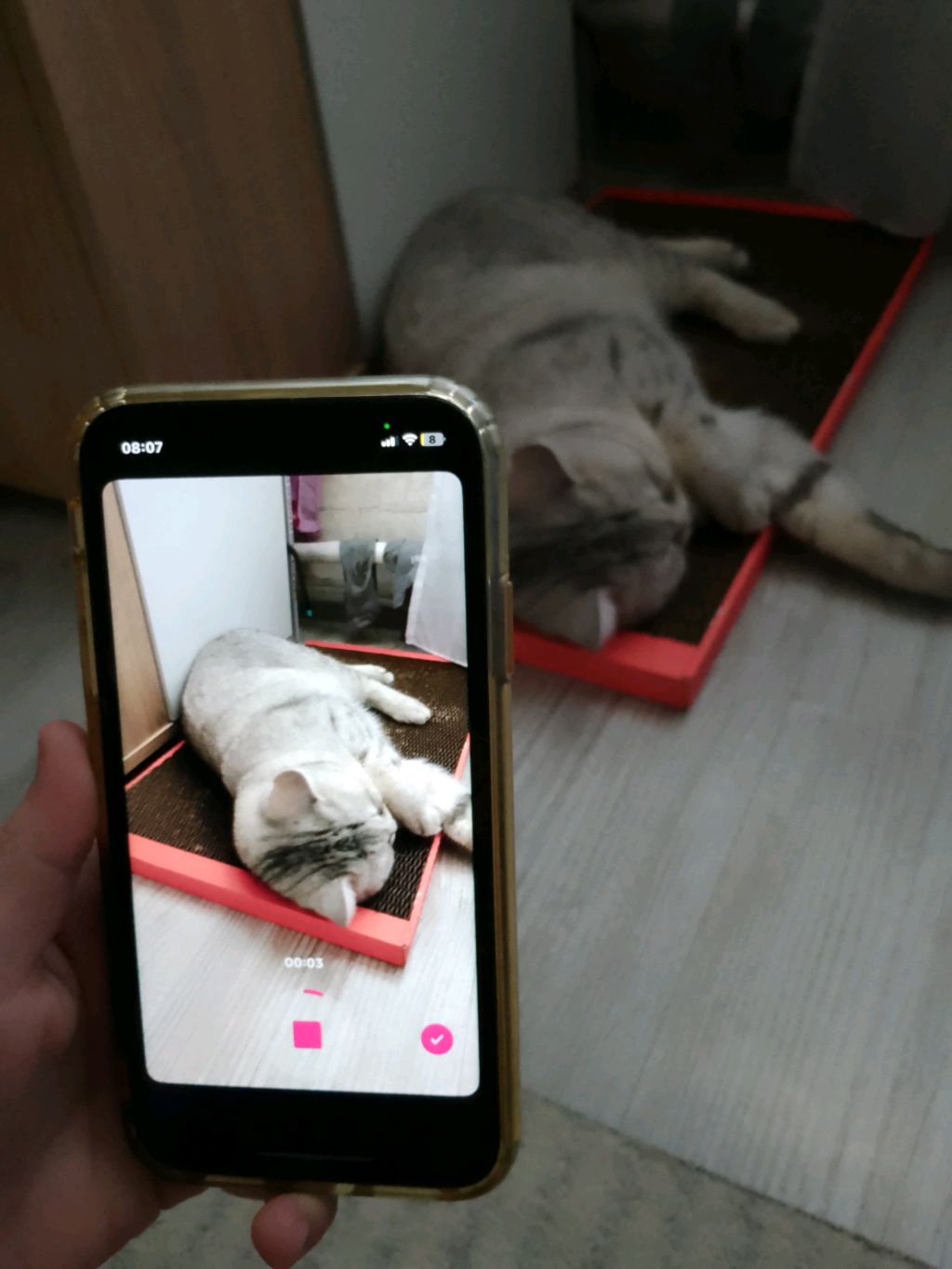 дом