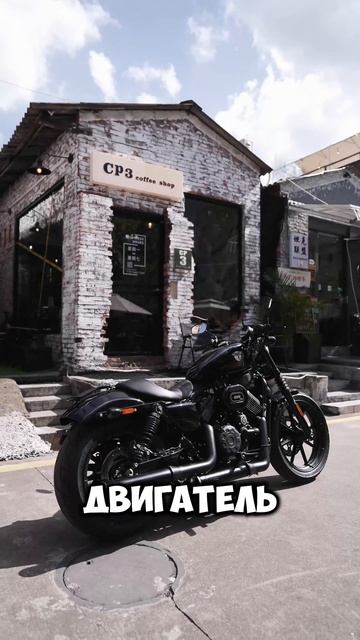 800-кубового мотоцикла Heavy Cruiser Motorcycle +7 (495) 108-72-91