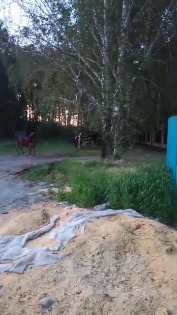 Перепутали немножко переулок