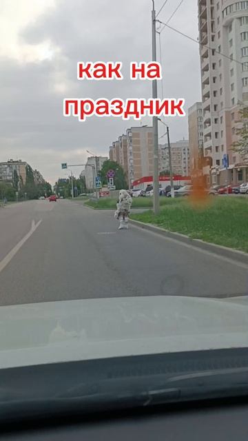 чудо чудное