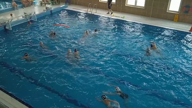 Торпедо водное поло waterpolo