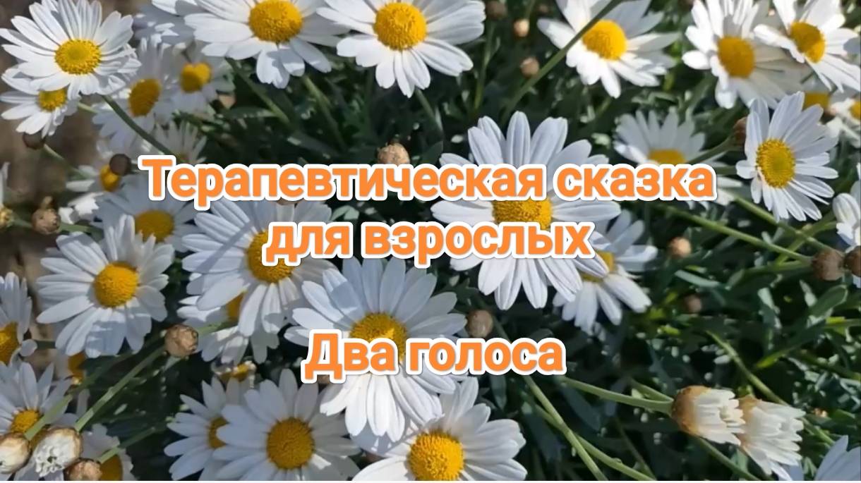 Сказка для взрослых "2 голоса"