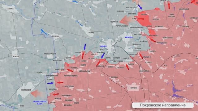 Сводка на утро 12 августа
