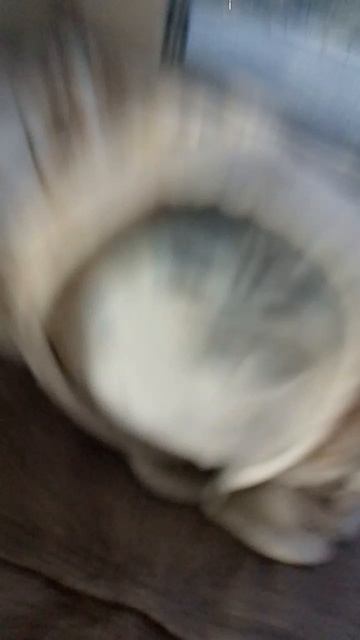 Погода 😿👎