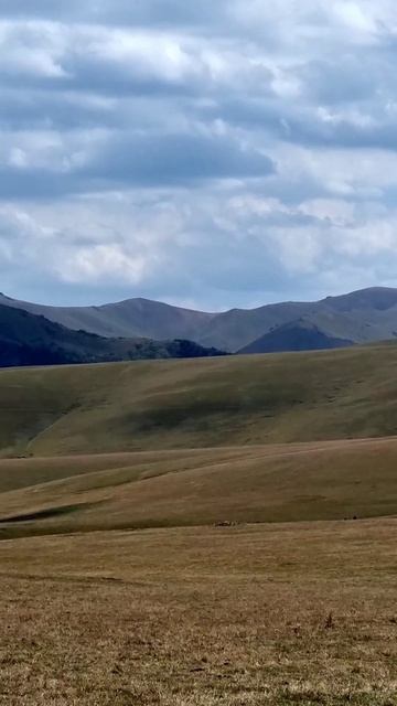 Плато Ассы, алматинская область. 10.08.2025.