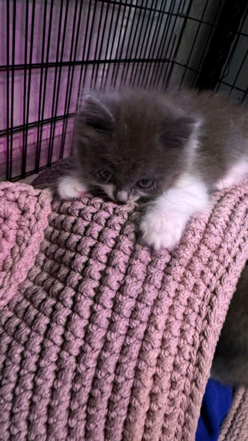 страдаем фигнёй