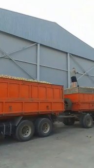 погрузка яблока навалом