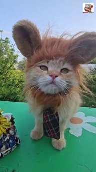 Девушки как звёзды 😻💓🌟🌟🌟