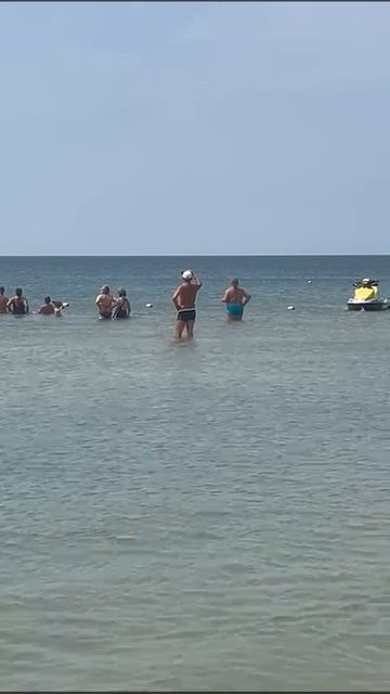 VID-20250802-WA0006.mp4