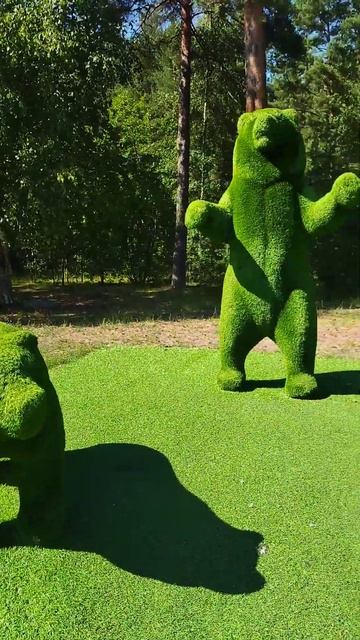 Сосновый бор - город зеленых гномов #shorts #путешествияпороссии #светланакутузова