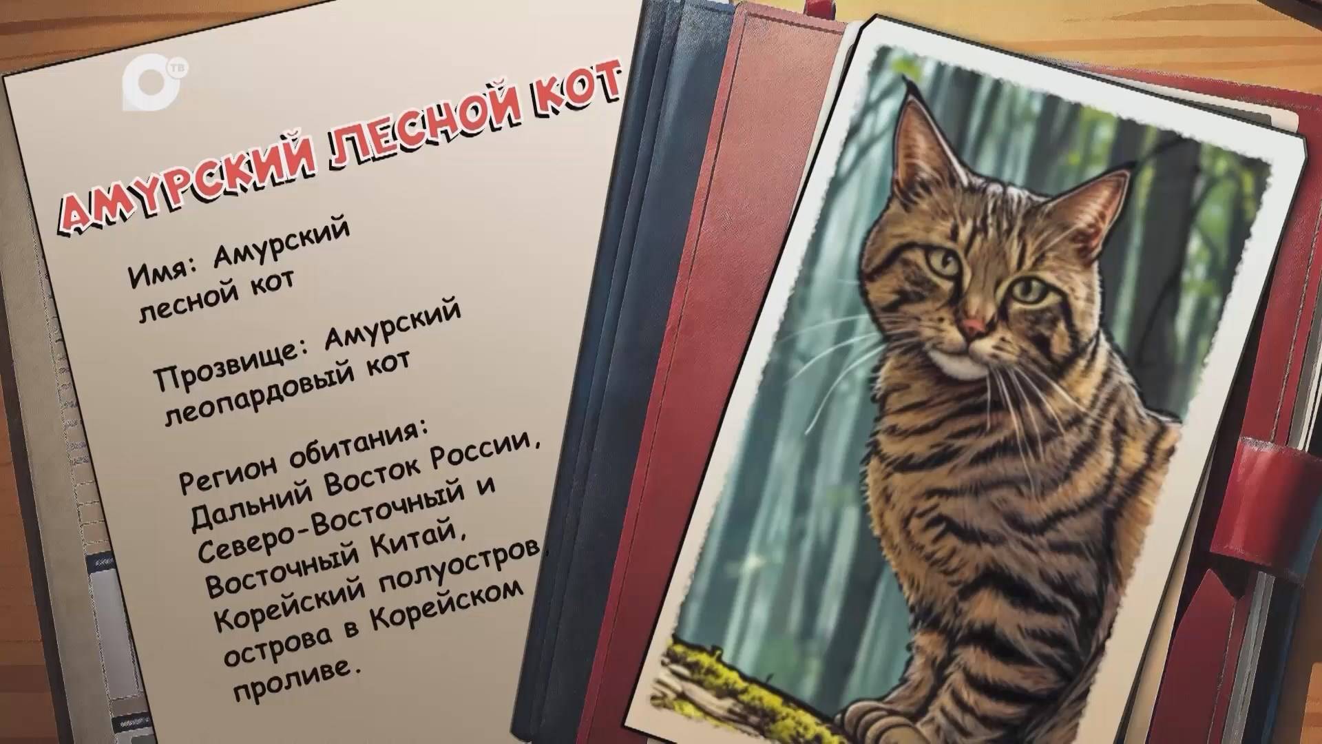 Агент биосферы / Амурский лесной кот / 06.08.25