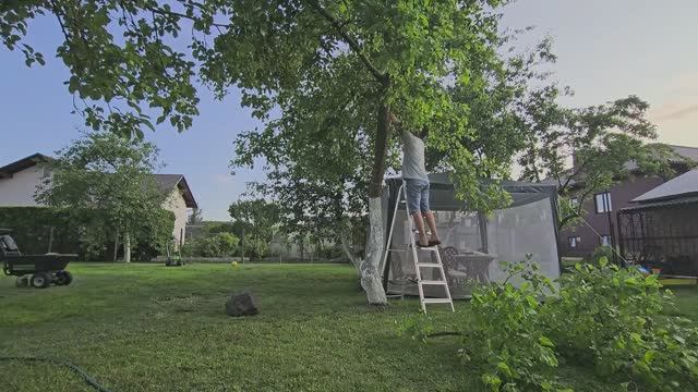 И3 PAHHEГО. Заброшенный хутор приводим в порядок!
