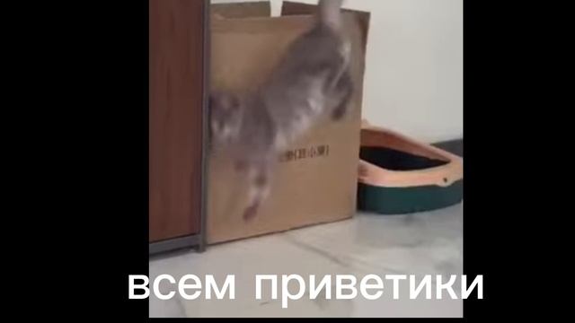 всем приветики ❤️🧡💛💚🩵💙