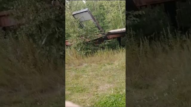 petal_20250812_204024.mp4