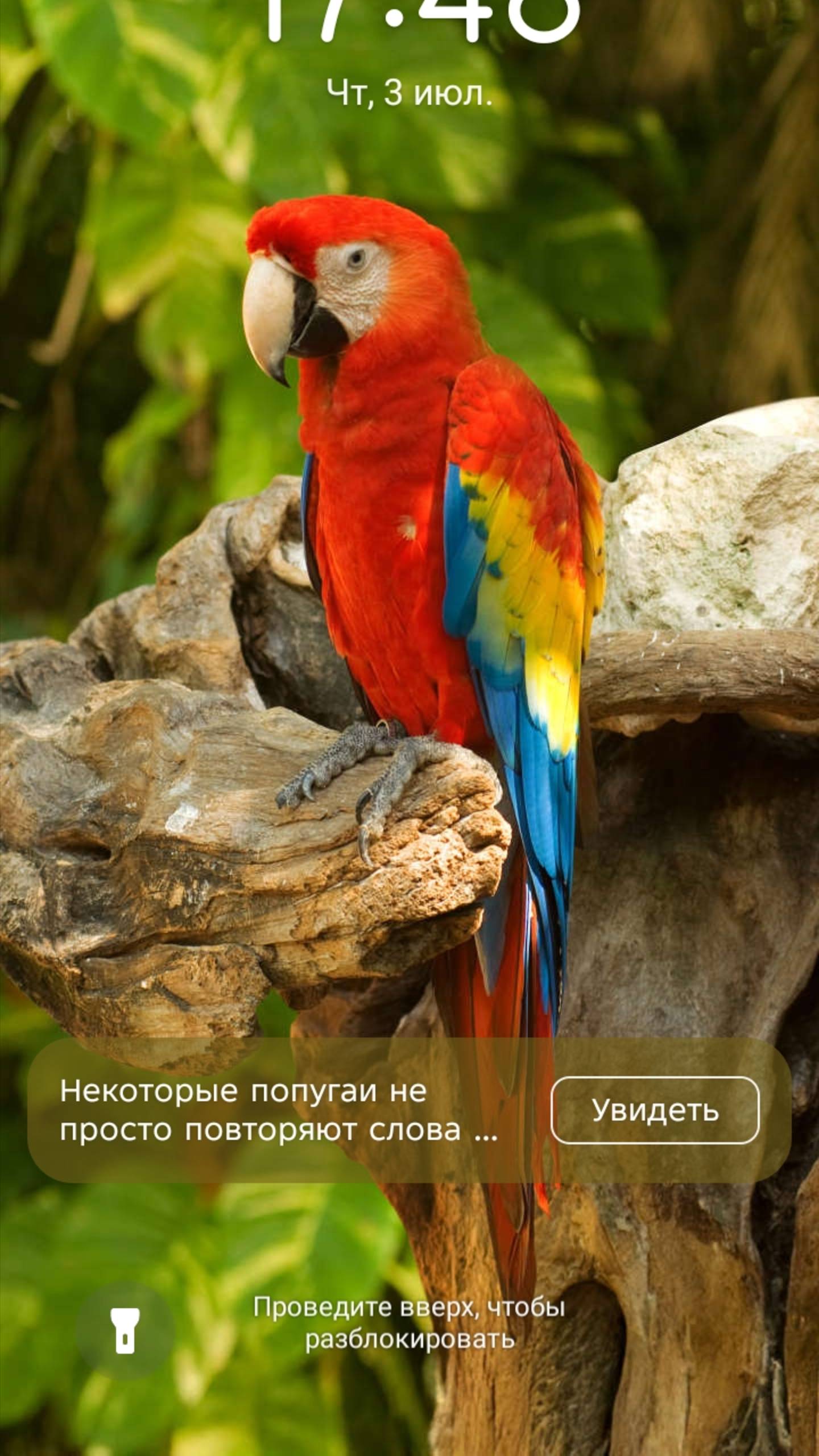 Просто шортс