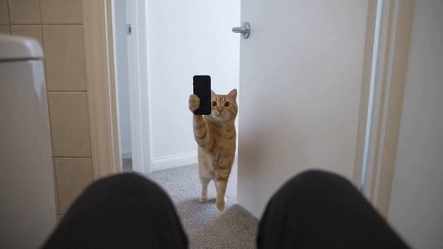 Если не покормишь, ищи себя в инсте!