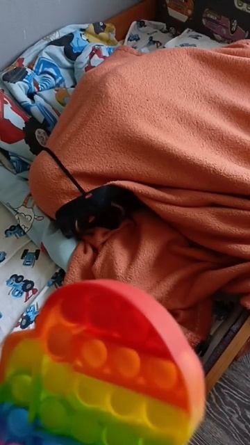 снюсоед нашёл новую игрушку