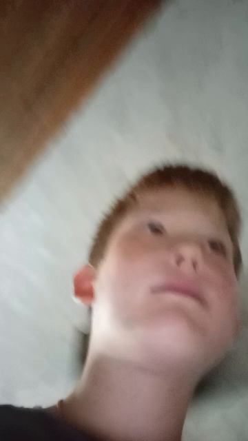 у нас родила дези 2 щенят.