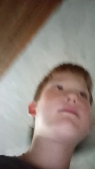 у нас родила дези 2 щенят.